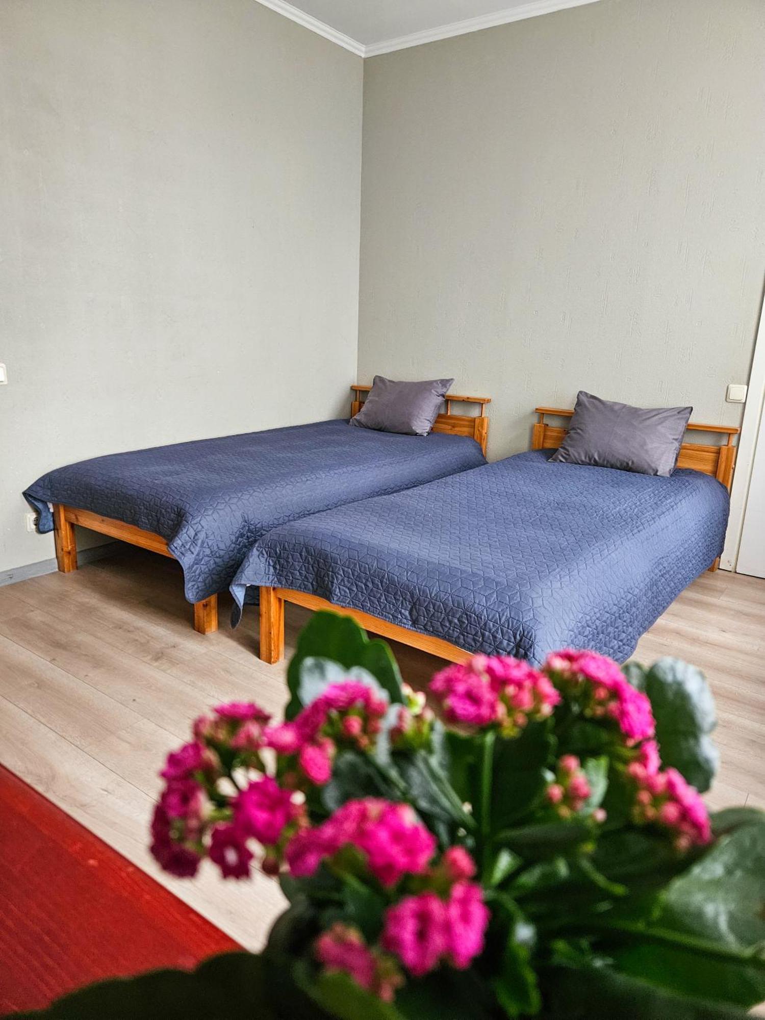 Muzeja Apartamenti Ρίγα Εξωτερικό φωτογραφία